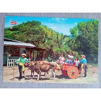 Этнография. Коста-Рика. Традиционная повозка