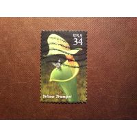 США 2001 г.Хищные растения.ТРУБЫ АНГЕЛОВ (ЭКЗОТИЧЕСКАЯ БРУГМАНСИЯ)./33а/