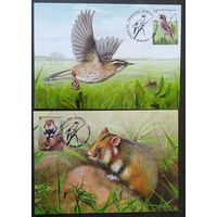 Беларусь 2021 КМ Исчезающие виды национальной дикой природа .