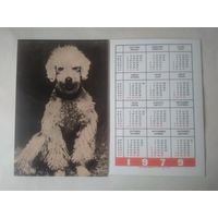 Карманный календарик. Собака.1979 год