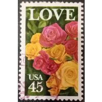 США. Флора. Розы