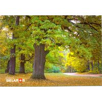 Планета Беларусь, Беловежская пуща, 2019, тираж 1000