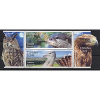 Испания 2014. Фауна. Птицы сова орел. Сцепка 4 марки  (4922-25)