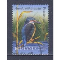 [1130] Румыния 2009. Фауна.Птицы.Зимородок. Гашеная марка.