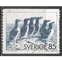 Швеция. Тонкоклювая кайра. 1976г. Mi#937.
