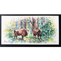 Зубры. Беловежская пуща. Моя Беларусь. Т. Дольская 2016 г. Тираж 2000. Чистая #0207-V2P104