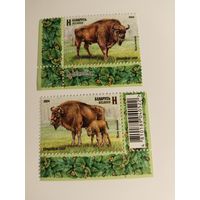 Беларусь  2024  2 м зубры