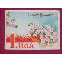 С Праздником 1 Мая! Круглов 1962 г.