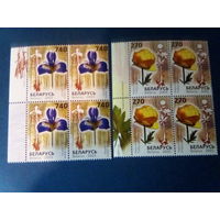 Беларусь 2003 квартблоки цветы