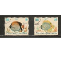 Куба-1985(Мих.2968-2969) , гаш.   , Морская Фауна , Рыбы