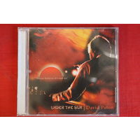 David Paton - Under The Sun (2020, CD)