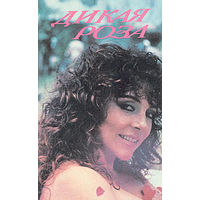 Дикая роза. Альберто Альварес