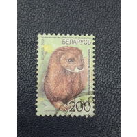 Беларусь 2008г. Норка. Стандарт.