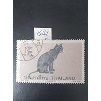 Тайланд 1971  кошка