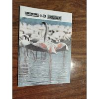 Юный натуралист 3-1977