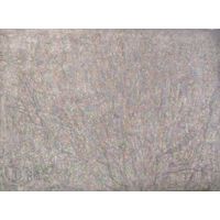 Степанов Алексей Матвеевич (1923 – 1989) Народный художник КазССР Кусты боярышника