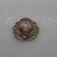 Кокарда МВД Беларусь #2