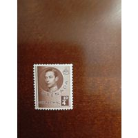 Доминика Георг