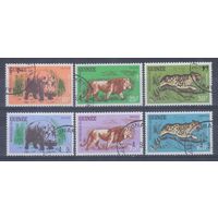 [1775] Гвинея 1962. Фауна. Гашеная серия.