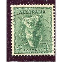 Австралия, Стандарт. Фауна. Коала