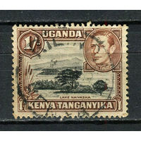 Британские колонии - Кения, Уганда, Таганьика - 1938/1954 - Король Георг VI и озеро Найваша 1Sh - [Mi.66C] - 1 марка. Гашеная.  (Лот 19HB)-T4P48