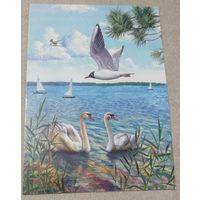 Посткроссинг. Открытка Национальный парк Нарочанский (10х15). Прошла почту. Художественные марки, чёткий штемпель.