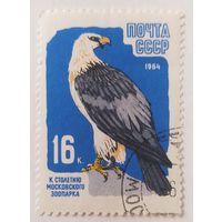 СССР 1964, 100 лет московскому зоопарку