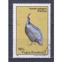 [1446] Румыния 1995. Фауна.Птицы.Цесарка. Гашеная марка.