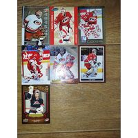 Хоккейные карточки.НХЛ. ВРАТАРИ.Carolina Hurricanes. 7 КАРТ