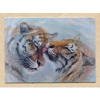 Юлия Неприятель - Тигры - Чистая