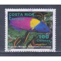 [634] Коста-Рика 1994. Фауна.Рыбы. Гашеная марка.