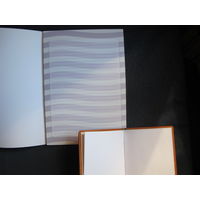 Фирменные записная книжка и блокнот Сейма Литвы