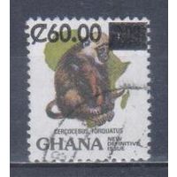 [2326] Гана 1988. Фауна.Обезьяны. НАДПЕЧАТКА. Гашеная марка.