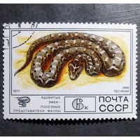 Марка СССР 1977 год Фауна