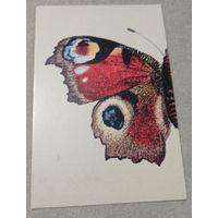 Посткроссинг. Открытка из Австрии:бабочка (10х15). Прошла почту. Художественная марка, штемпель.