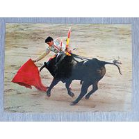 Этнография. Испания. Коррида