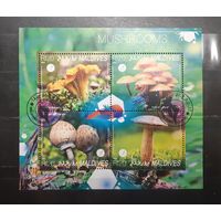 Мальдивы. 2014 год. Флора. Грибы. Блок (1009)