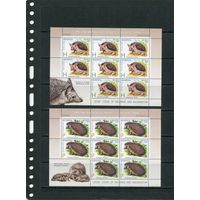 Беларусь 2012. Фауна. Ежи. Два листа