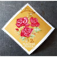Марка Венгрия 1963 год Цветы