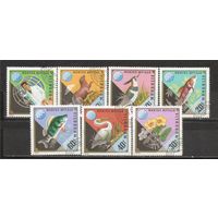 ФФ1 Монголия 1974 Фауна гаш
