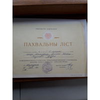 Похвальный лист Молодечно