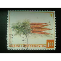 Босния и Герцеговина, 2006. Морковь
