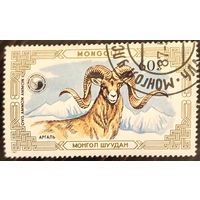 Монголия 1987. Горный баран. Ovis Ammon. Марка из серии
