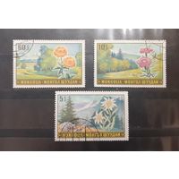 Монголия. Цветы и ландшафты (232)