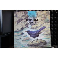 Птицы СССР - Воробьиные: Дрозды (1987, Vinyl)