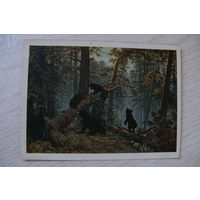 Шишкин И., Утро в сосновом лесу; 1956, чистая, ДМПК, герб зеленый, штамп переоценки.