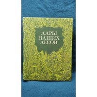 Дары наших лесов