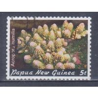 [154] Папуа Новая Гвинея 1982. Морская фауна.Кораллы и другие.5т. Гашеная марка.