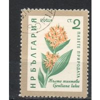 Цветы Болгария 1960 год флора /К-1-1