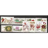 ФФ2 Румыния 1965 Цветы